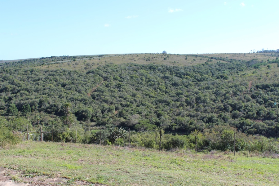 3 Bedroom Property for Sale in Bathurst Eastern Cape